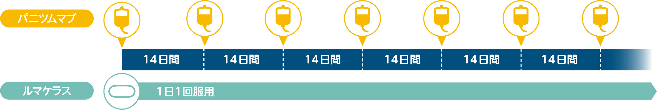 ルマケラスとパニツムマブの併用療法の投与スケジュール イメージ